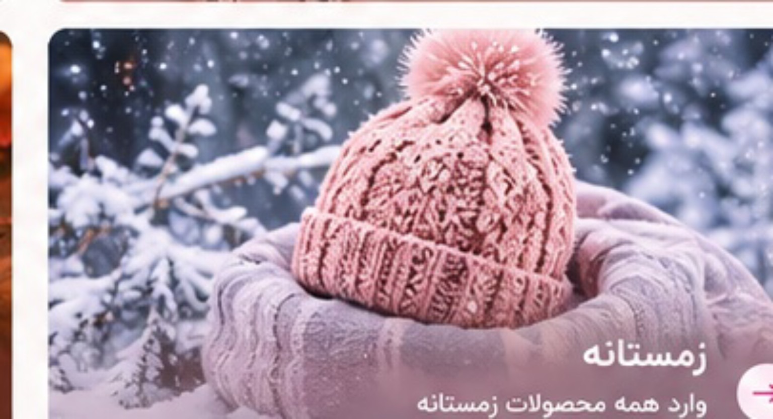 زمستانه